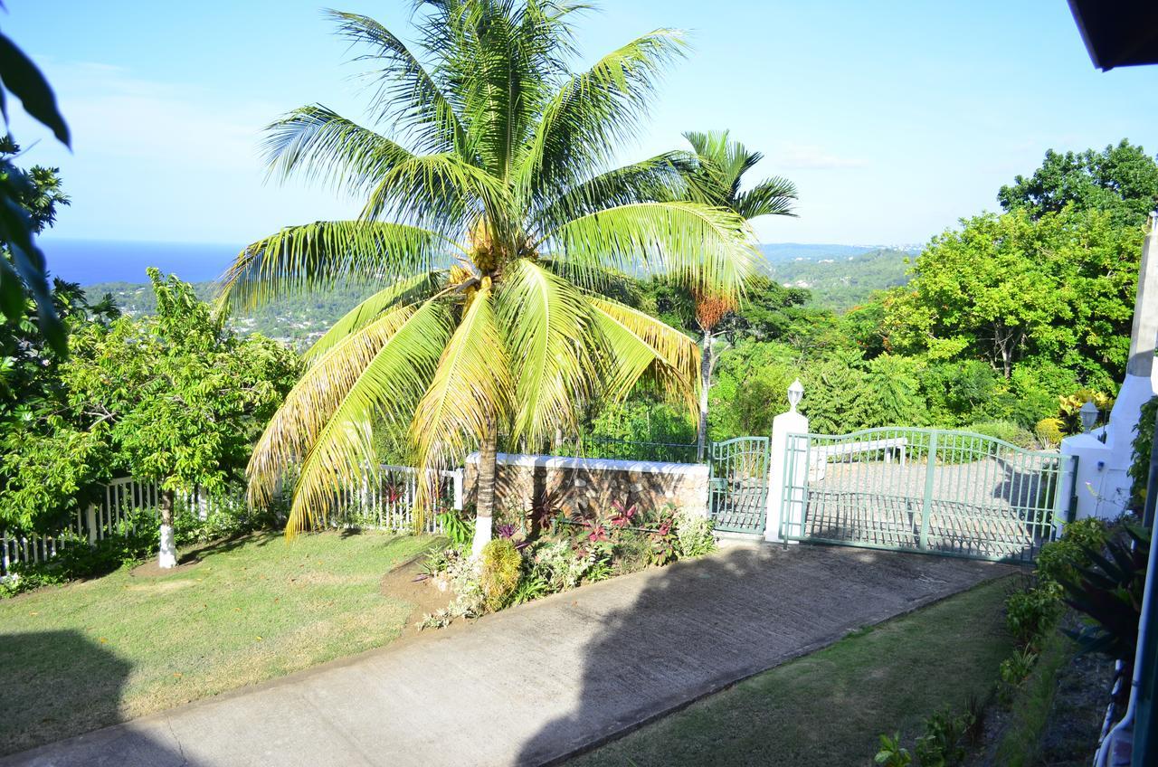 Pink Rock Inn Bed And Breakfast Ocho Rios Exterior photo